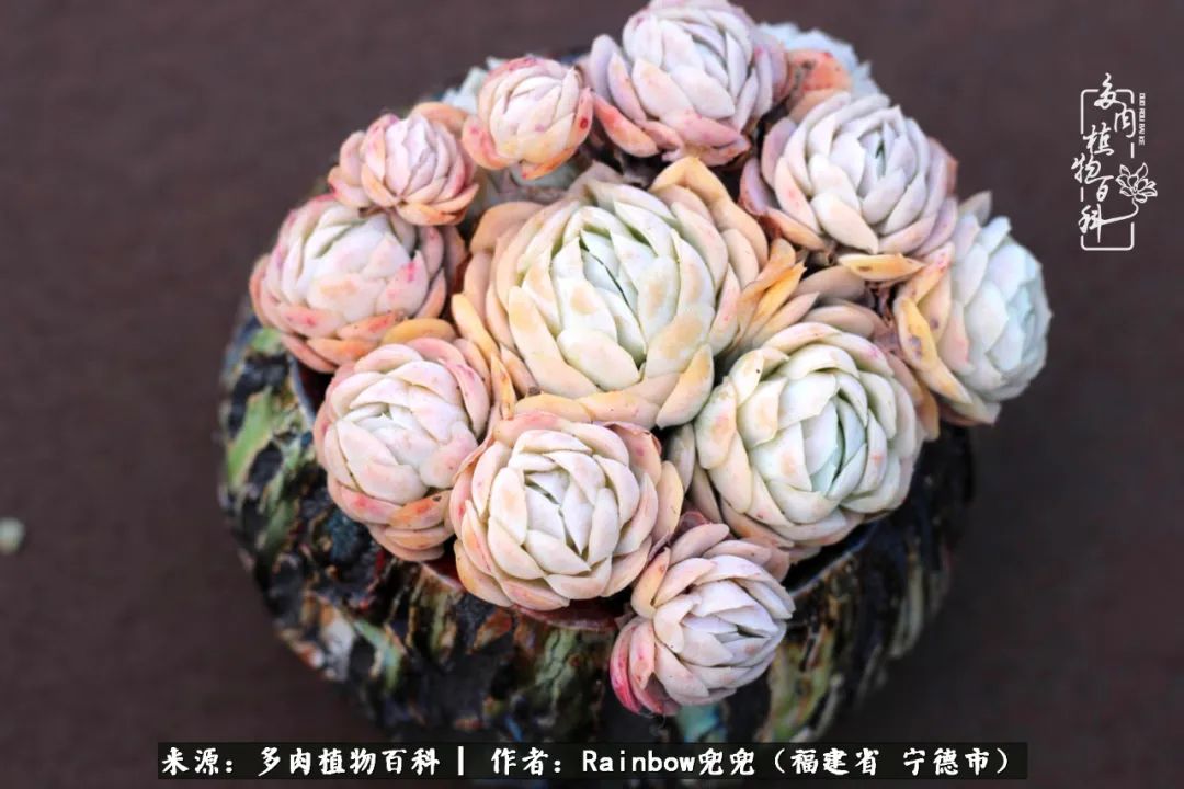 岁月无波澜余生不悲欢是啥意思,愿你岁月无波澜敬我余生无悲欢