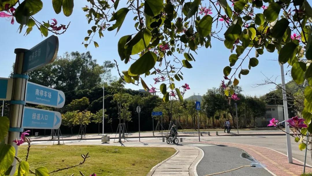 大运绿道跑步路线,大运公园绿道