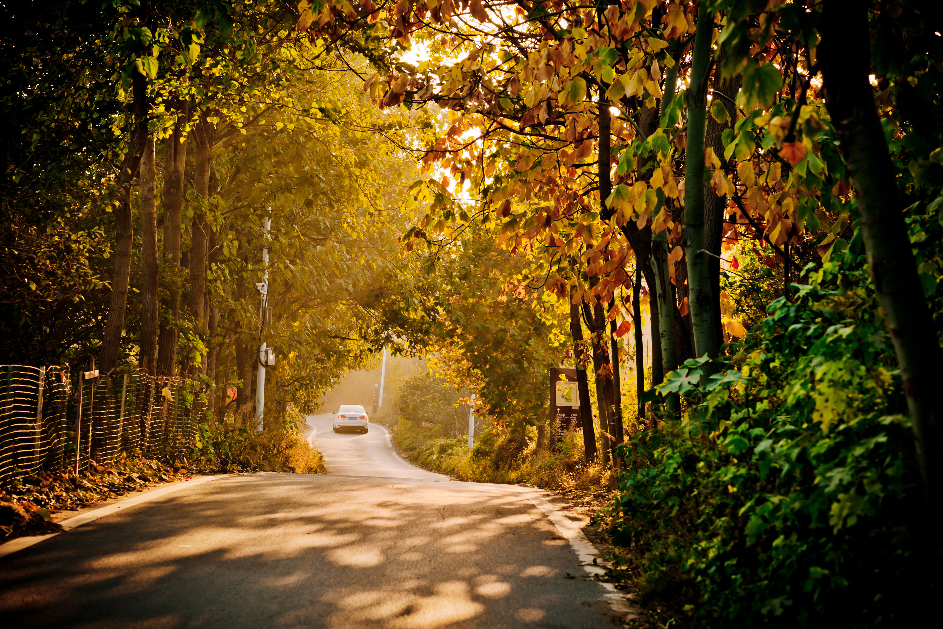 鍥藉簡鍋囨湡缁堜簬鍑哄彂,鍥藉簡鍋囨湡濡傜害鑰岃嚦