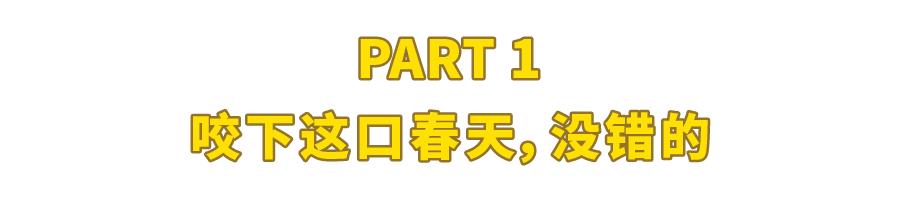 今年不再作妖的手作青团们，到底能有多好吃？