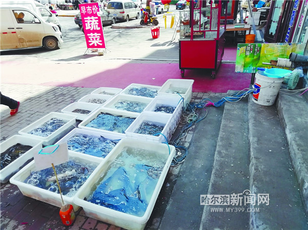 2022年淡水鱼价格行情,淡水鱼批发价格行情