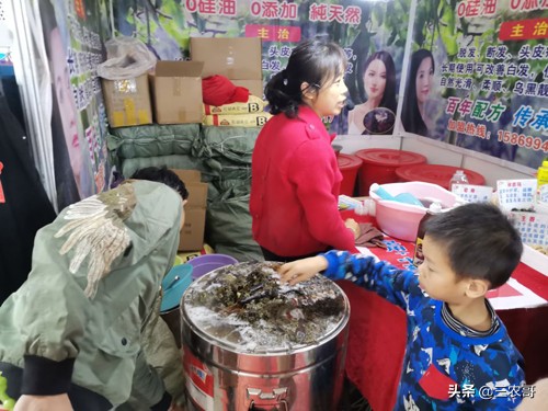 投资小适合农村的创业项目有哪些,农村小投资创业项目推荐