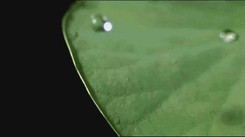 仅手机大小口袋迷你晴雨伞，晴天雨天都好用，还能轻松入包携带