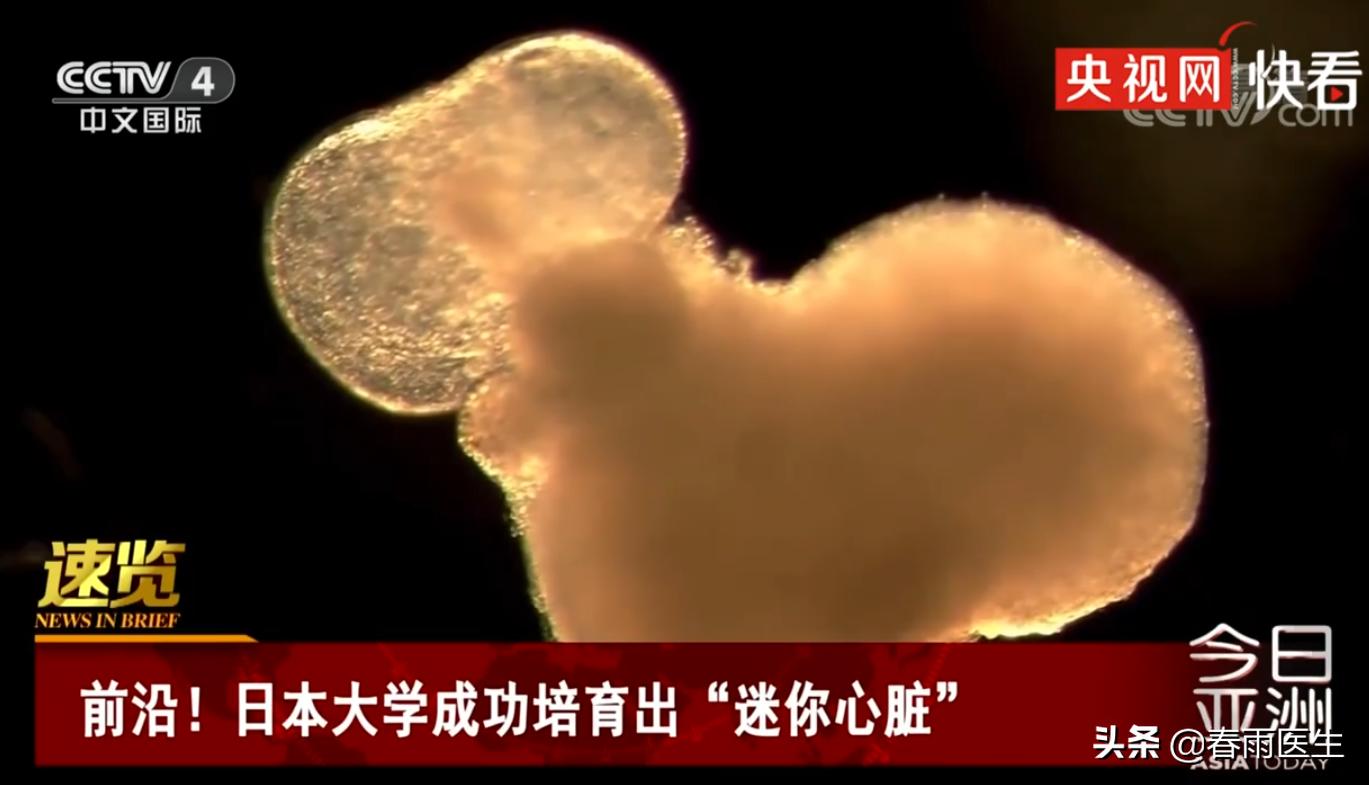 干细胞治疗能干什么,什么地方可以进行干细胞治疗