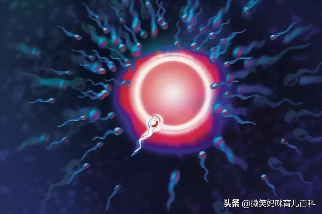 避孕常见的5大误区,避孕常见的5大误区有哪些