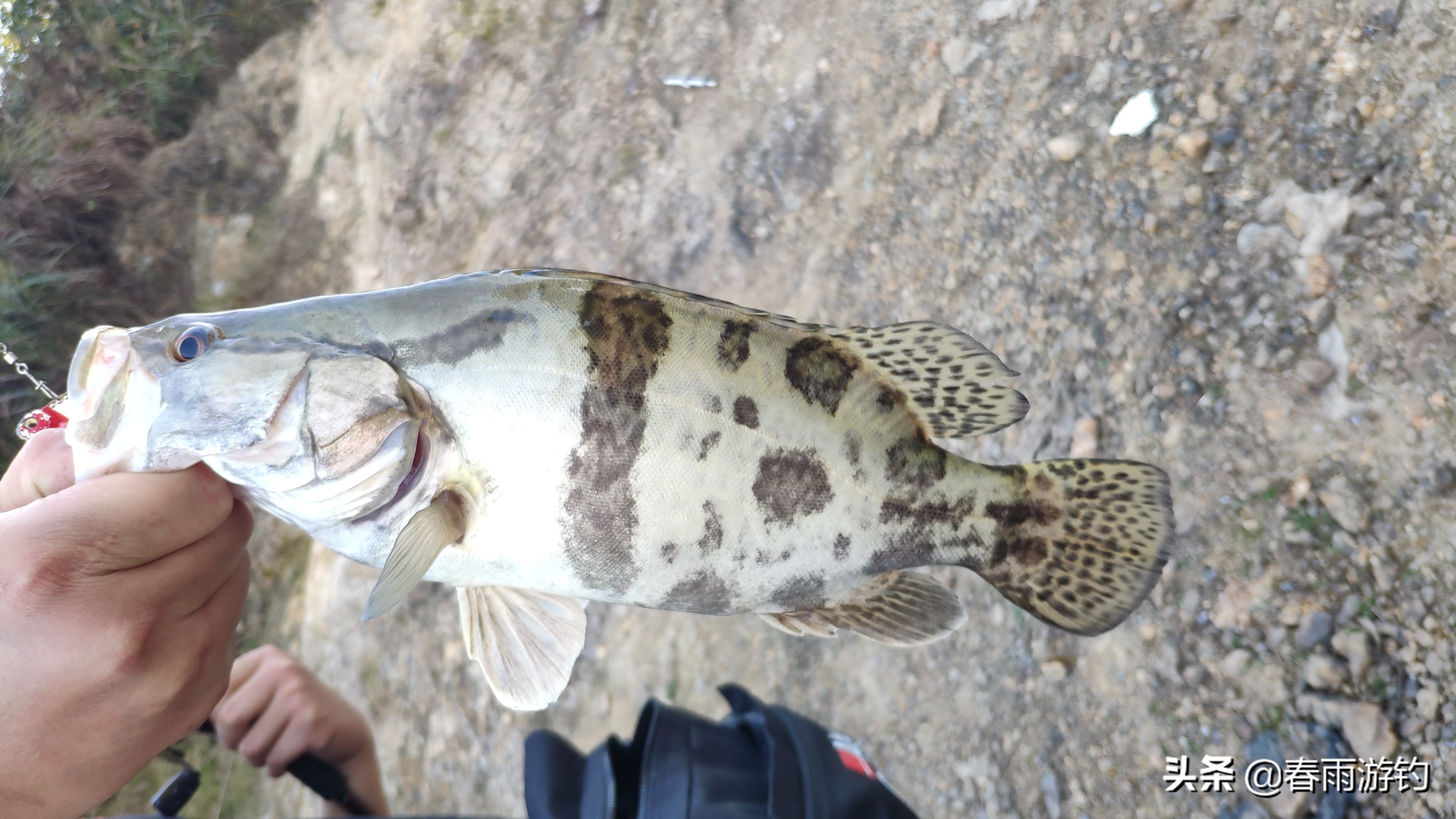 湘潭岳塘区钓鱼地点推荐,岳塘区红旗水库