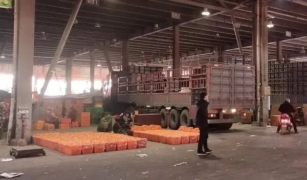 政策解读｜ETC车辆绿通免费预约、忘约退费手把手教程（附《鲜活农产品品种目录》），建议收藏！