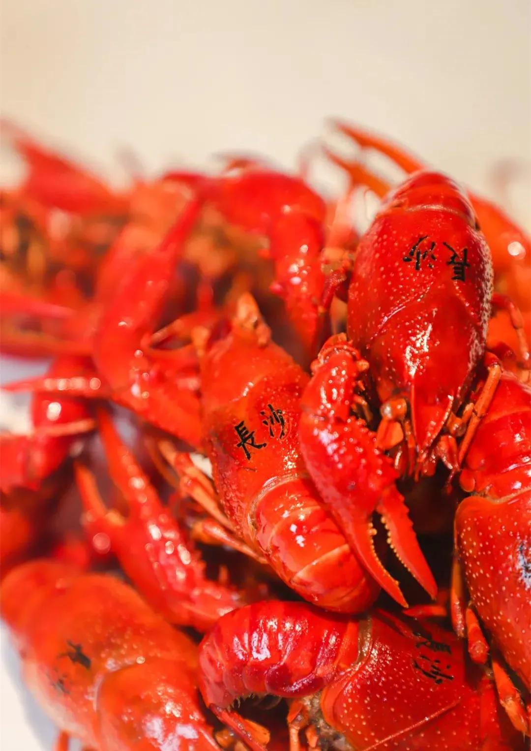 购物中心设计都有哪些风格,购物中心沉浸设计