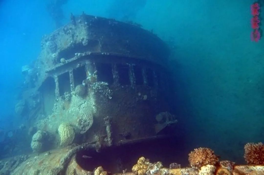 从A到Z，帕劳这个海岛国家远比你想象中更精彩