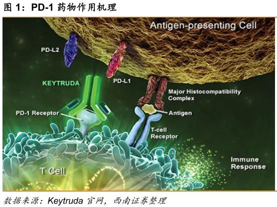 可以治疗癌症的天价药,治癌特效药最新消息医保