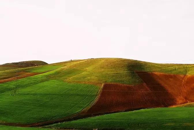 二月初二龙抬头命运,农历二月初二祥龙抬头鸿运当头