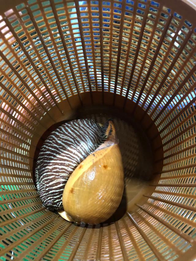 新宇带你看不同中篇—缅南美丽的风景和那些奇葩的旅游趣事