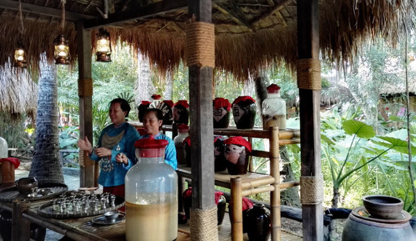 我的海南之旅作文,从海口到三亚感受海南的无限魅力