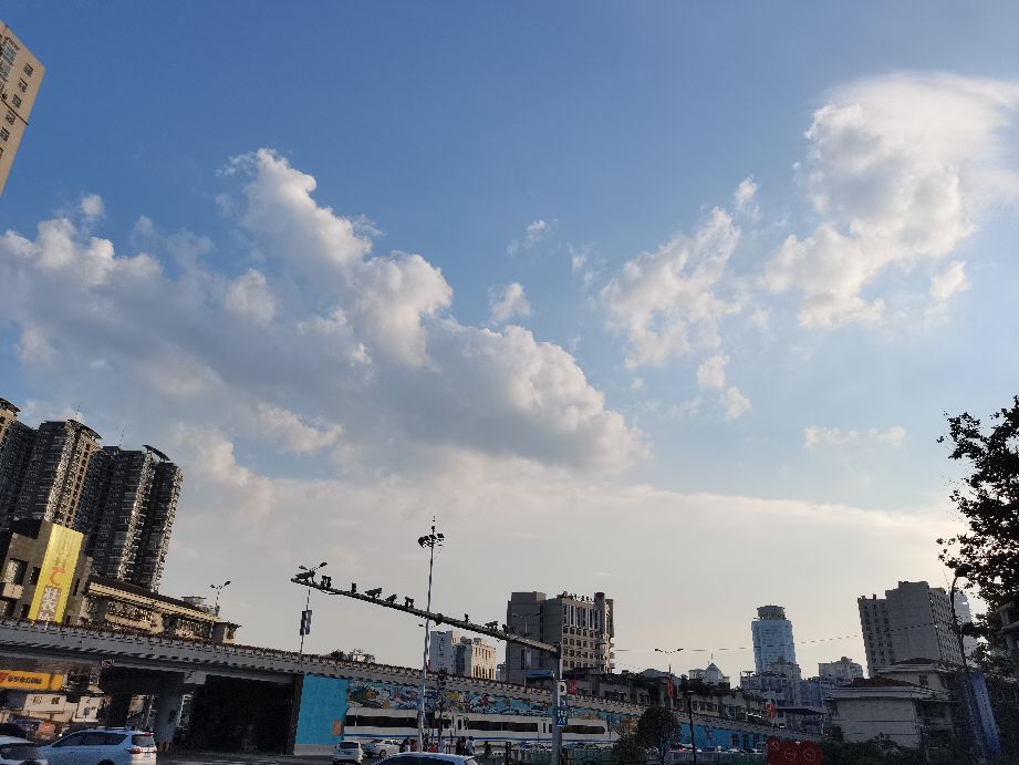 魔都上海?打工人的噩梦,欲望之城