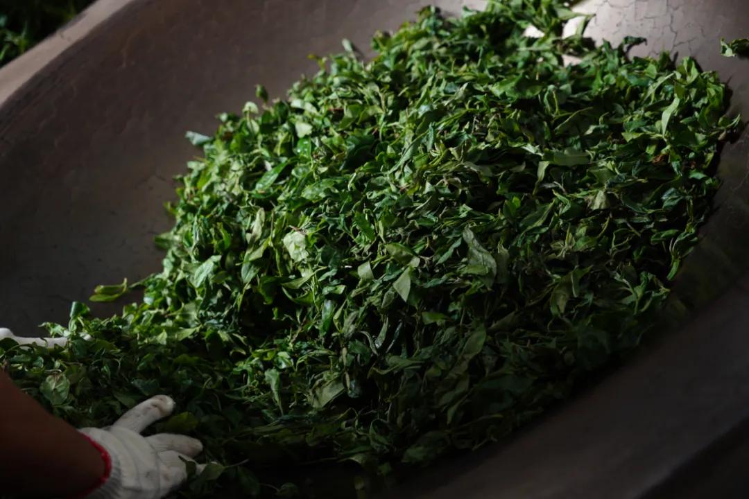 杀青普洱茶的缺点,普洱茶杀青过重