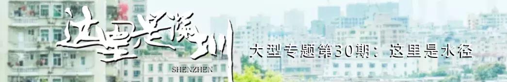 你没去过的水上乐园,你没去过