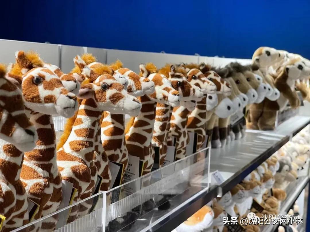 玫瑰大酒店中街,玫瑰大酒店在哪