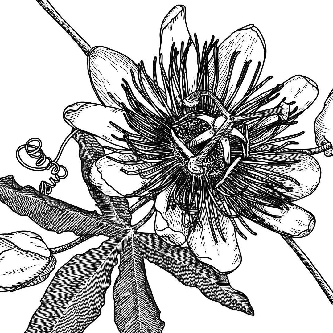 这一波手绘太给力了,绝对让你练完不厉害都难