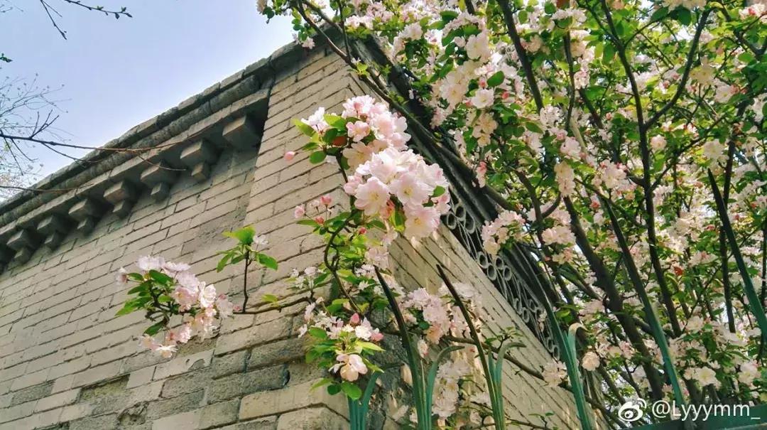 天津南开中学具有厚重的历史文脉,在天津学习心得体会