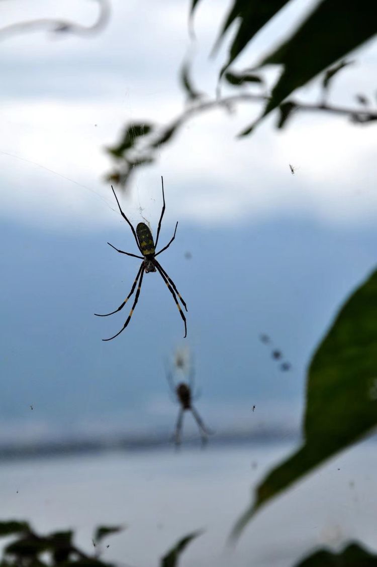 深秋的私语,美文美图经典欣赏