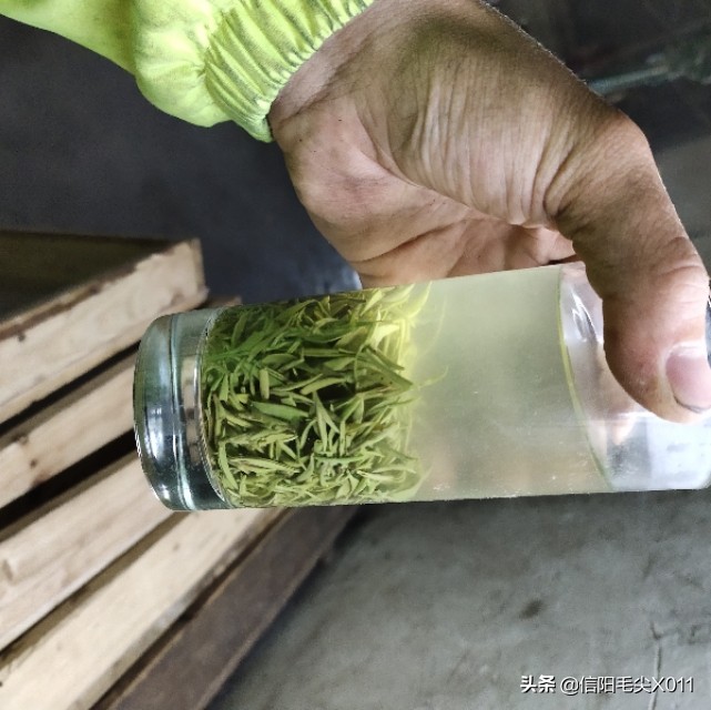 茶叶沉底好还是浮在面上好？