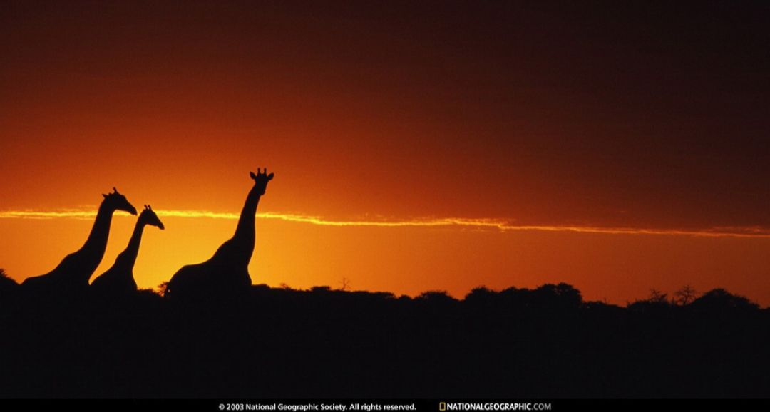 食品饮料行业投资案例,食品饮料板块长期投资