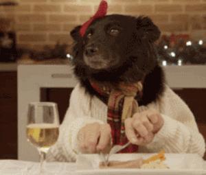 狗狗外出总是乱吃垃圾怎么办,怎么预防狗狗外出乱吃