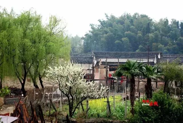 岳阳最值得去的古镇,湖南岳阳最繁华的景点