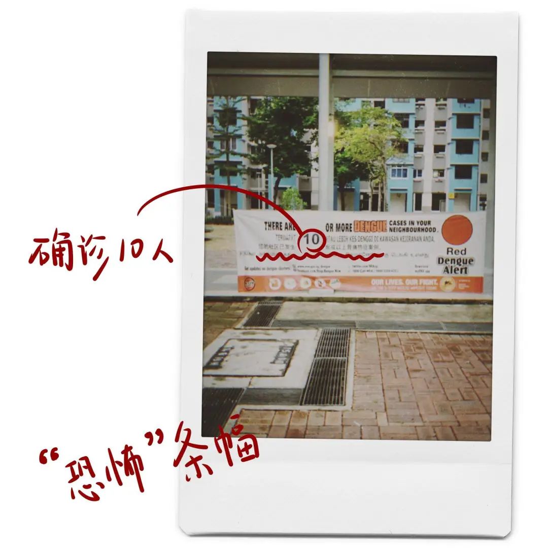 在国内的留学生现状,中国籍留学生失踪