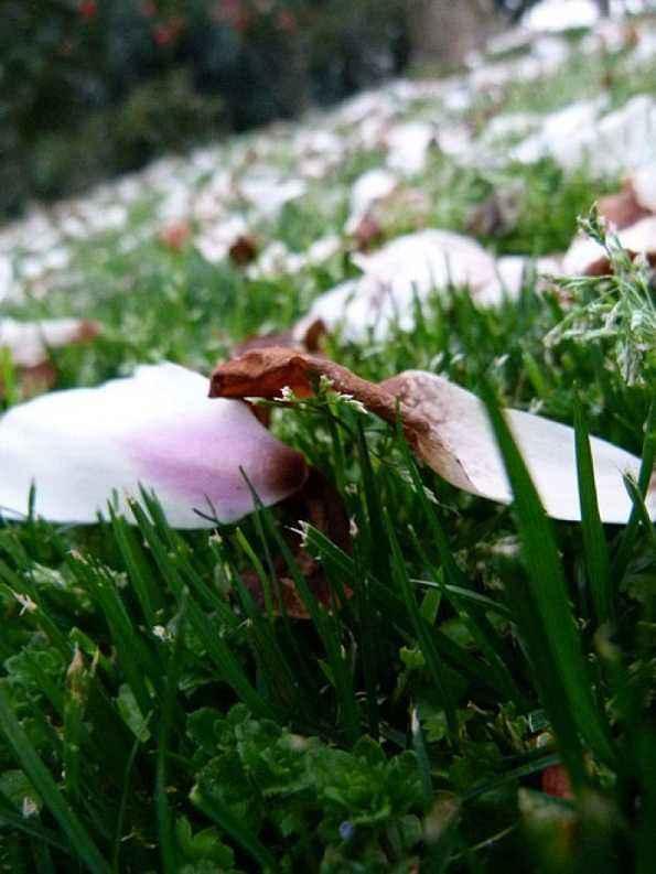 南唐后主李煜的冷暖人生,李煜南唐后主的悲惨一生