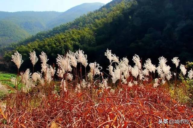 7个惊艳小众旅行地建议收藏哦,江苏省小众旅游地点