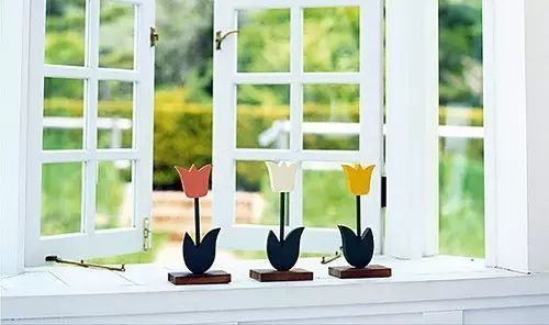 卫生间潜藏的致命菌,一个卫生间带来的困扰