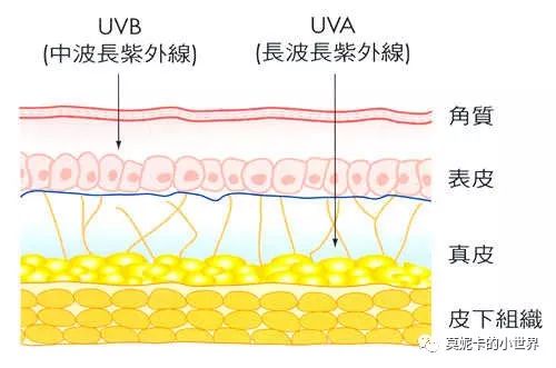 长痘如何防晒知乎,为什么我一涂防晒就长痘