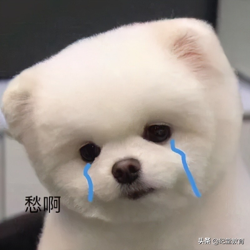 留学网课必备软件哪个好点,网课必备用品