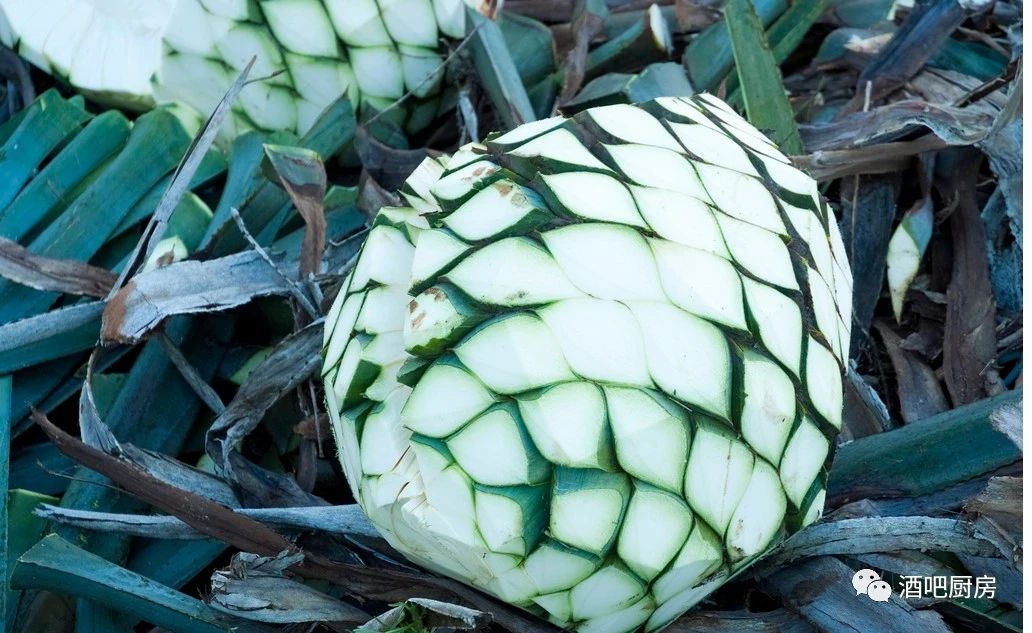 基酒龙舌兰玫瑰荔枝,基酒龙舌兰的鸡尾酒