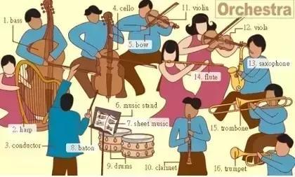 33张图让你记住英语中所有生活用词｜疏桐国际教育