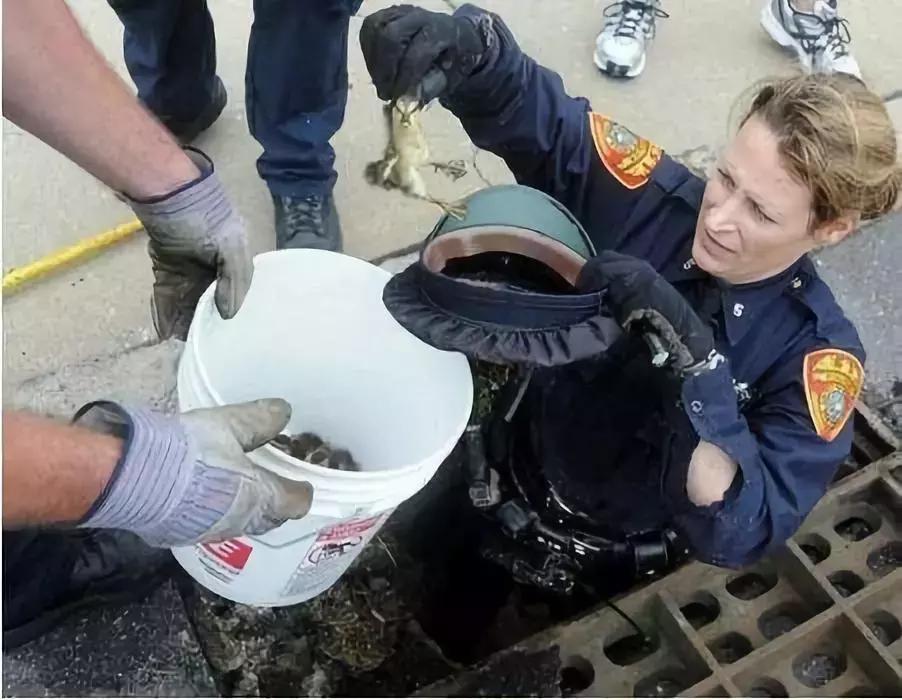 第一次当花童没有什么经验,第一次当花童没什么经验