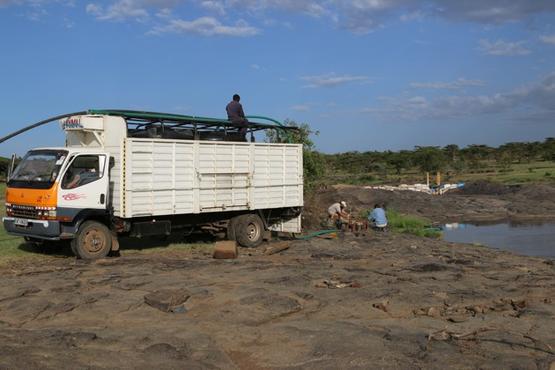 河马被粪便憋死,河马拉的粪便可以毒翻一条河