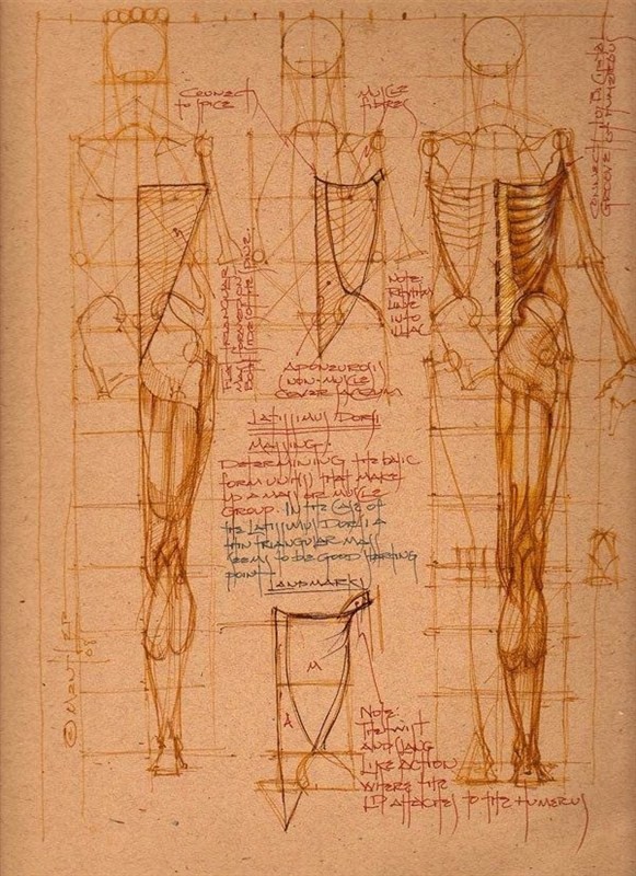 透视表现空间的基本方法,透视解剖学原理书籍