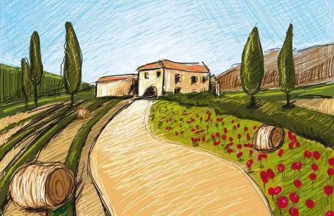 一等奖作文北大才女,北大才女一等奖