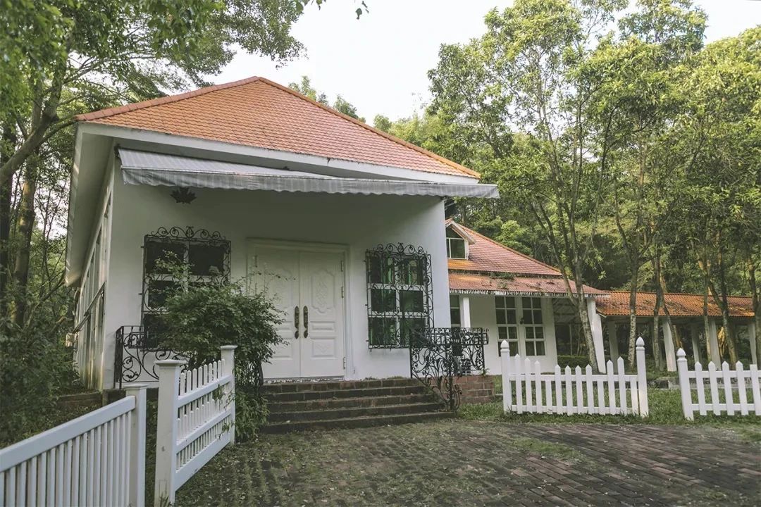 2021深圳免费适合遛娃玩地方排名,深圳免费游玩景点推荐