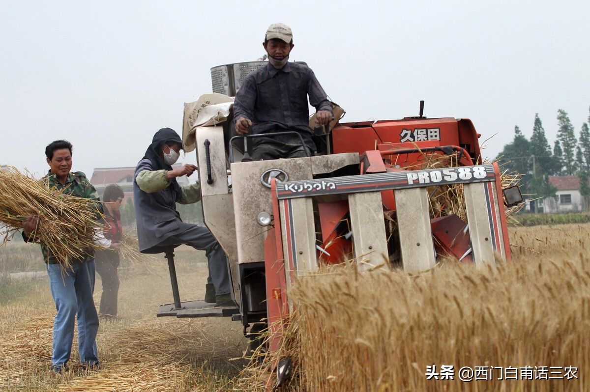 种粮大户租一亩地需要多少租金,安徽淮北种粮大户每亩租金补贴