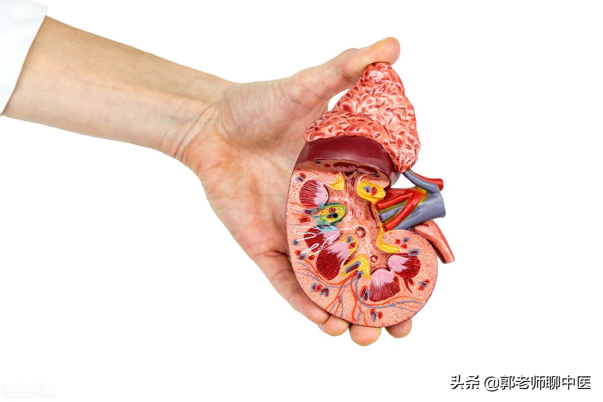 （收藏版）治疗肾结石的中药方剂，别找不到了