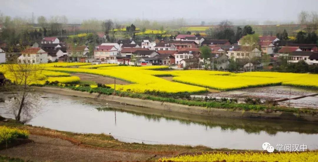 汉中南郑观花最佳路线,全国1-12月赏花旅游线路