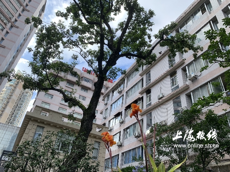 魔都100：藏在静安市中心最袖珍的公园重温老上海的儿时记忆