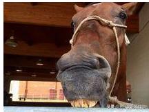 文玩天珠怎么制作的,文玩天珠制作