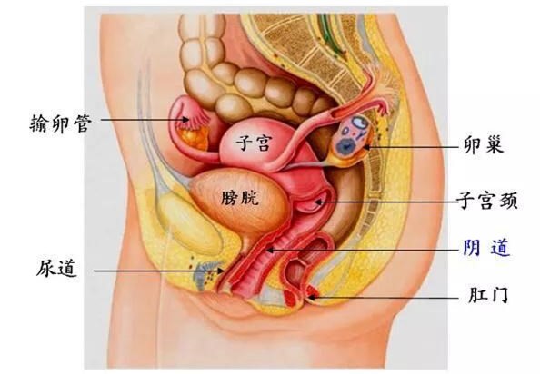 想尿尿不出又胀痛怎么解决,想尿尿不出还有点刺痛
