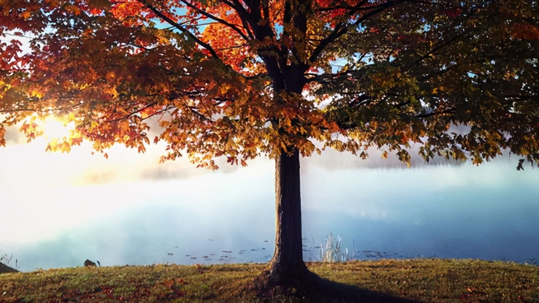 为什么黑黄白人种没有生殖隔离,黄种人和黄种人有生殖隔离吗