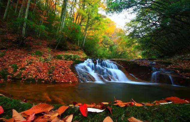 巴中有多大面积和人口,巴中和汉中差距有多大