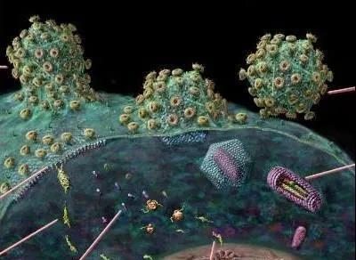 世界艾滋病日艾滋病防控小常识,世界艾滋病日我们注意什么